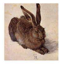 AD HASE ADE