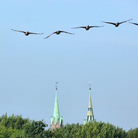 Flugformation über Lorenz